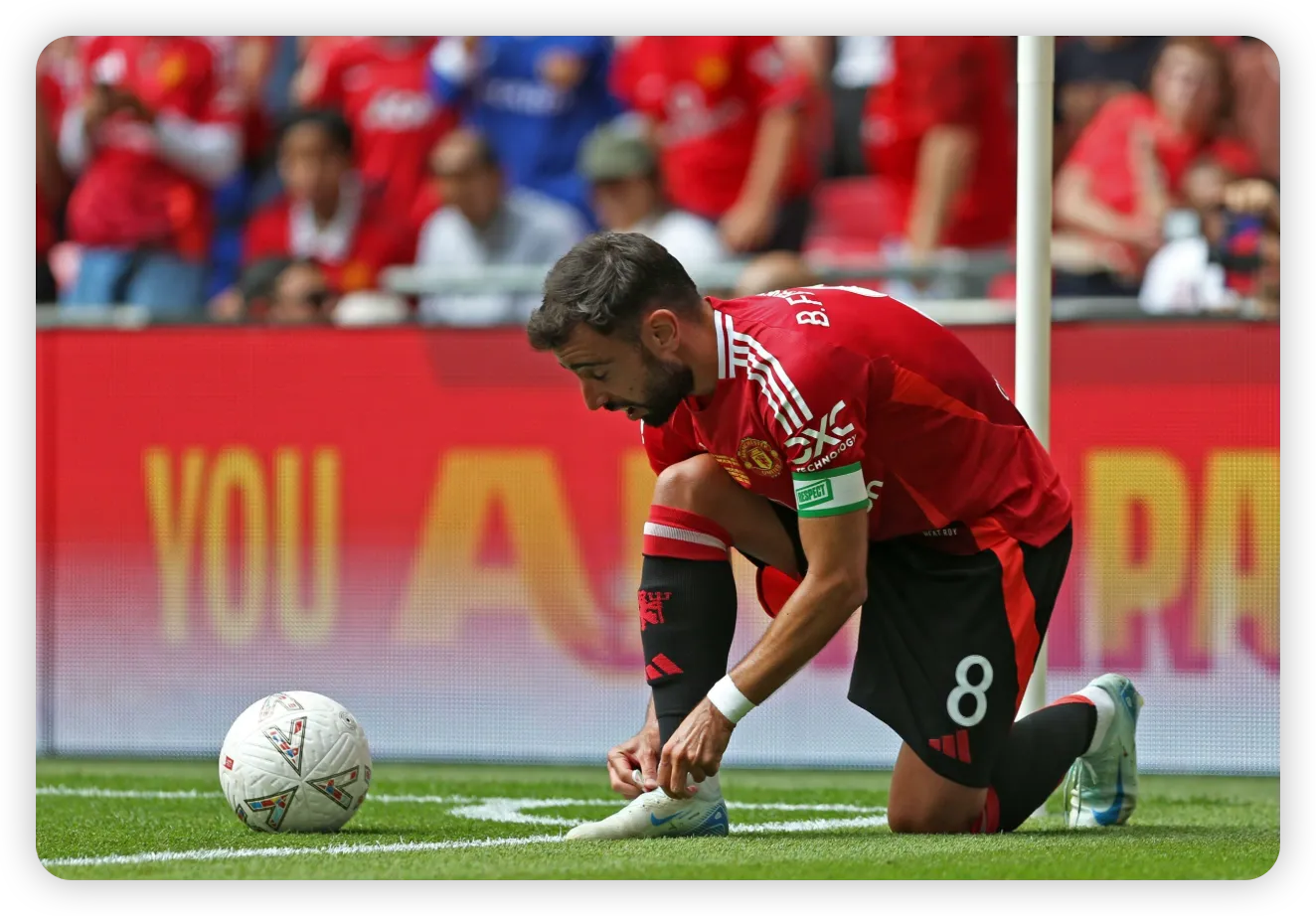 The Fernandes Effect: By the Numbers